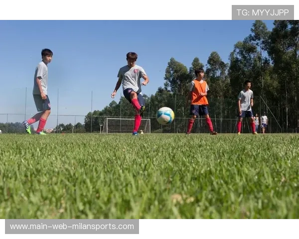 篮球梦让奋斗更加闪耀,篮球梦想让生活更美好500字六年级 篮球梦让奋斗更加闪耀,篮球梦想让生活更美好500字六年级